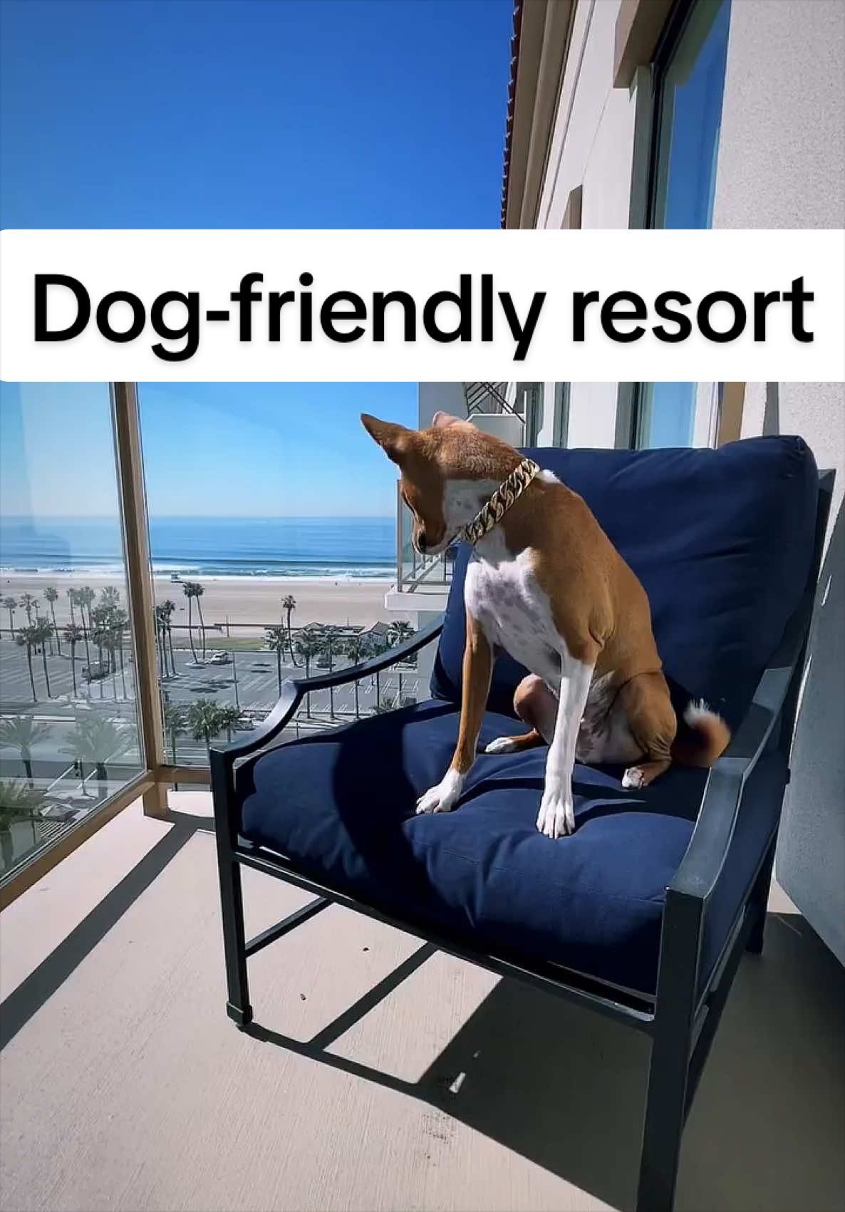 Huntington Dog Beach