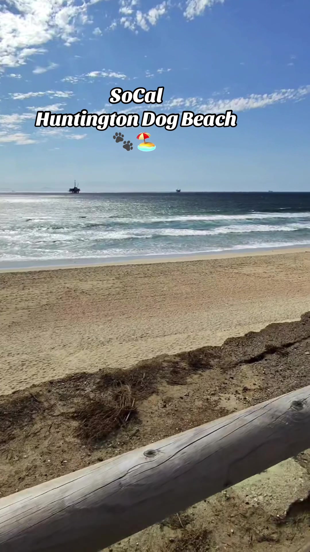Huntington Dog Beach