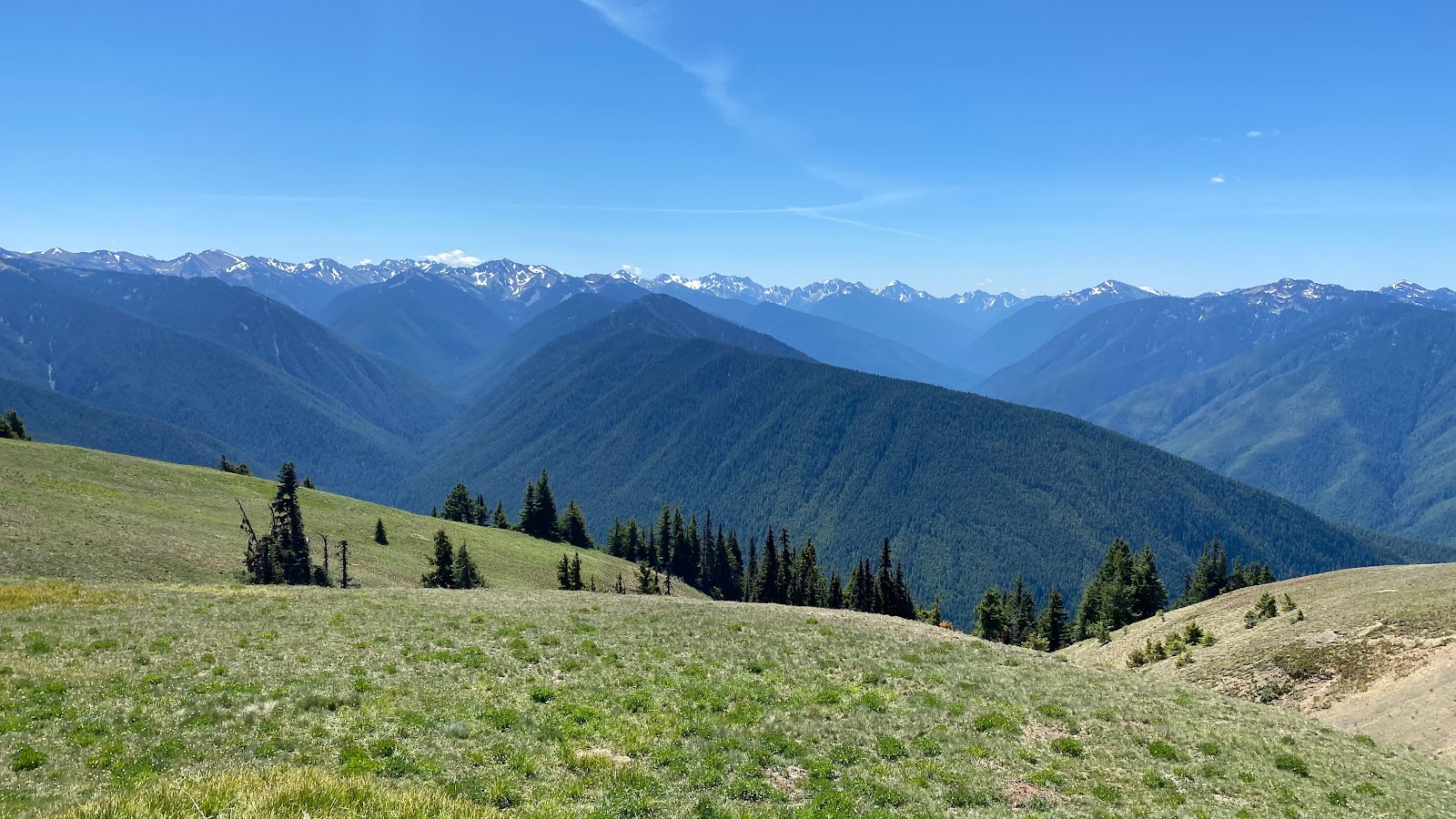 Hurricane Ridge