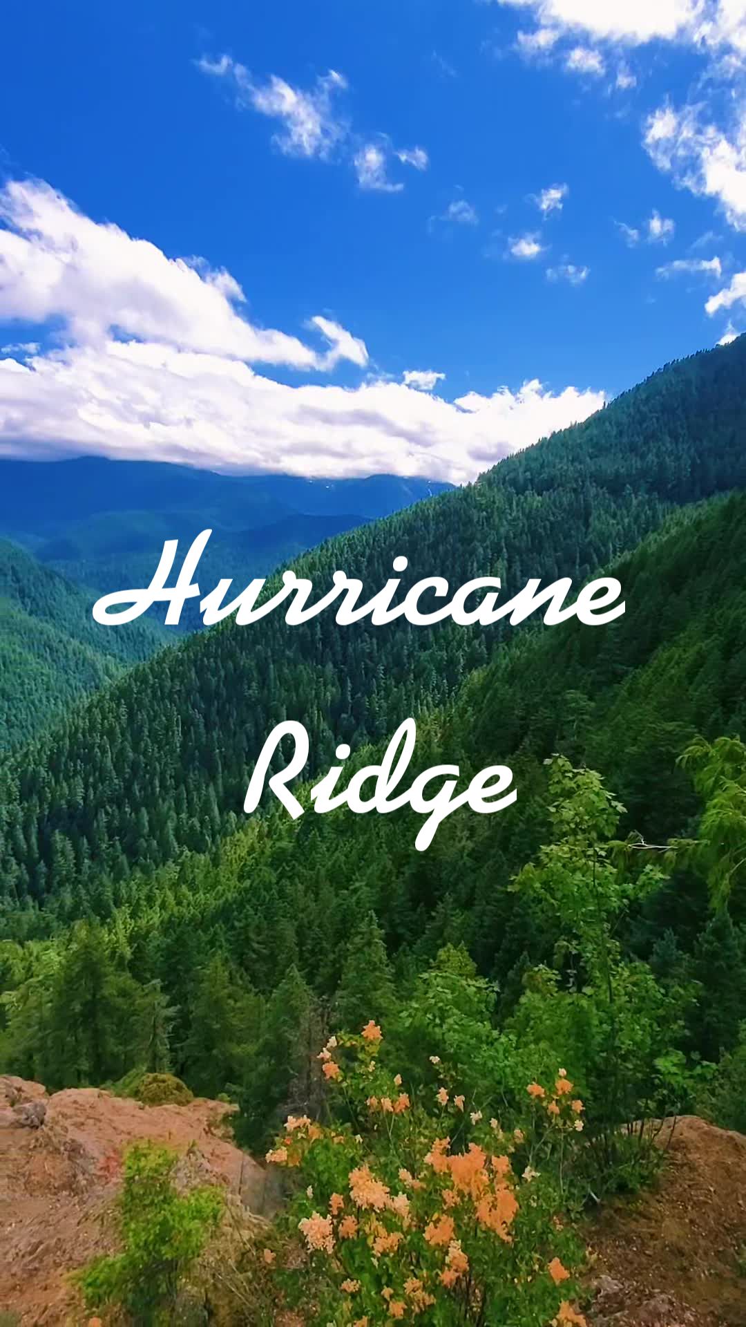 Hurricane Ridge