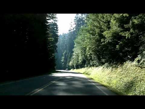 Hurricane Ridge