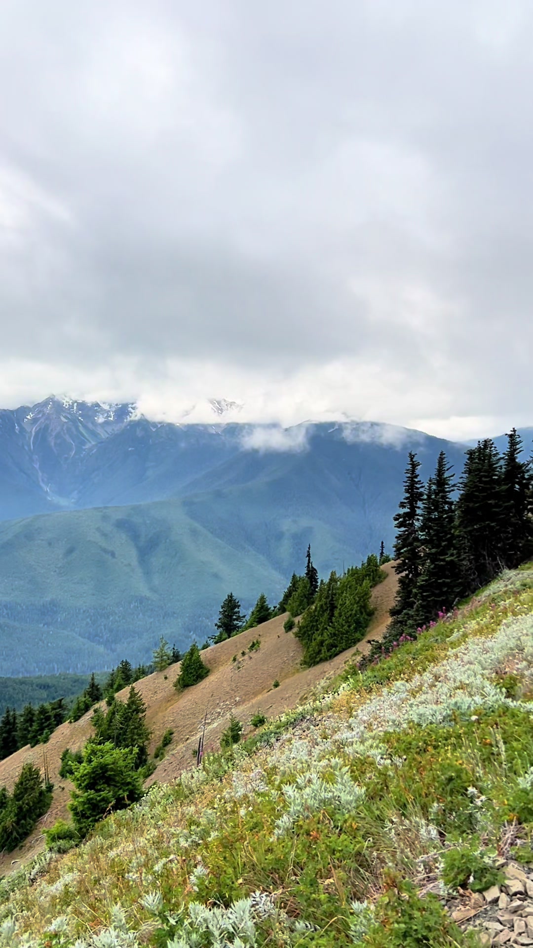 Hurricane Ridge