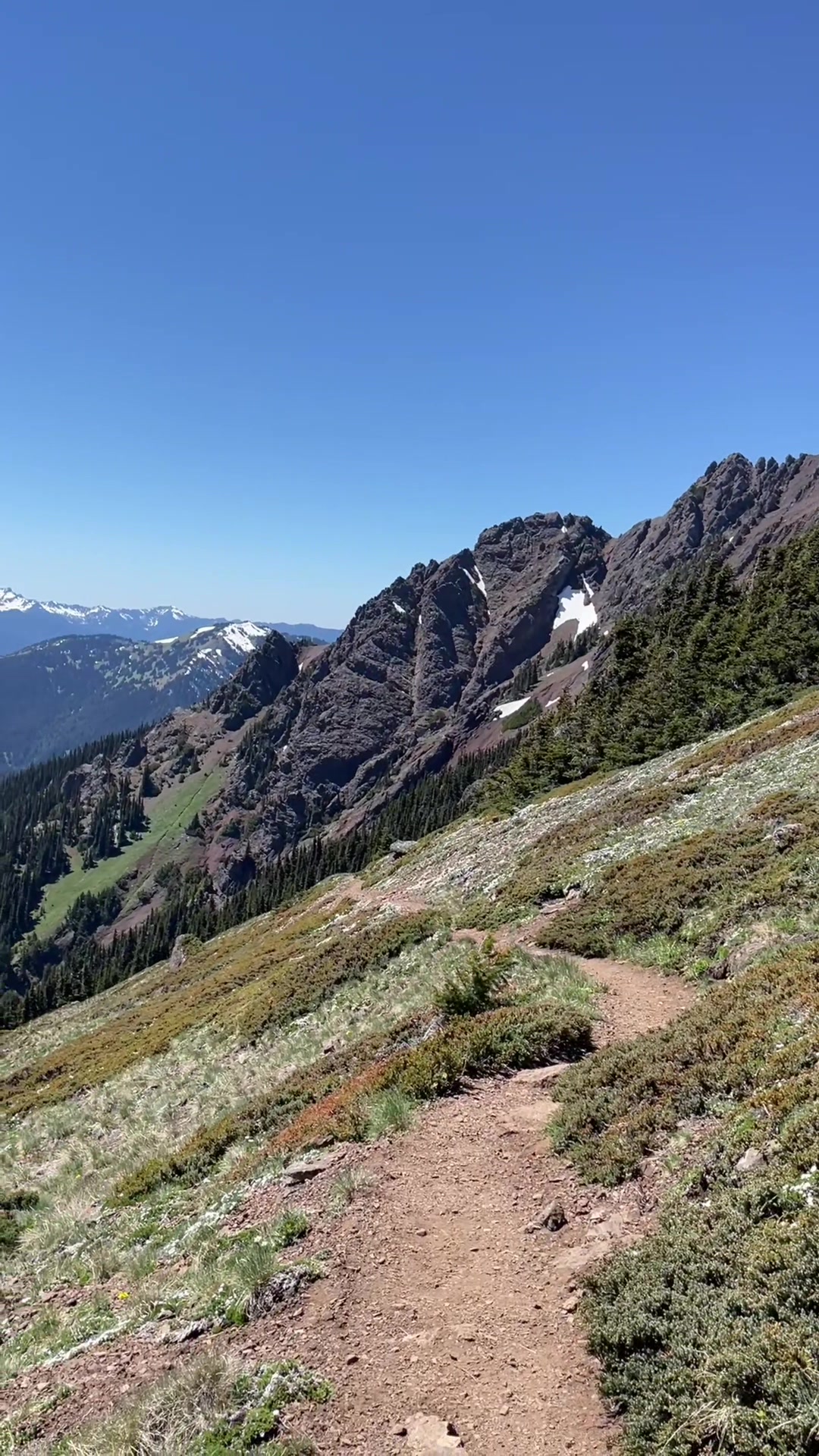 Hurricane Ridge