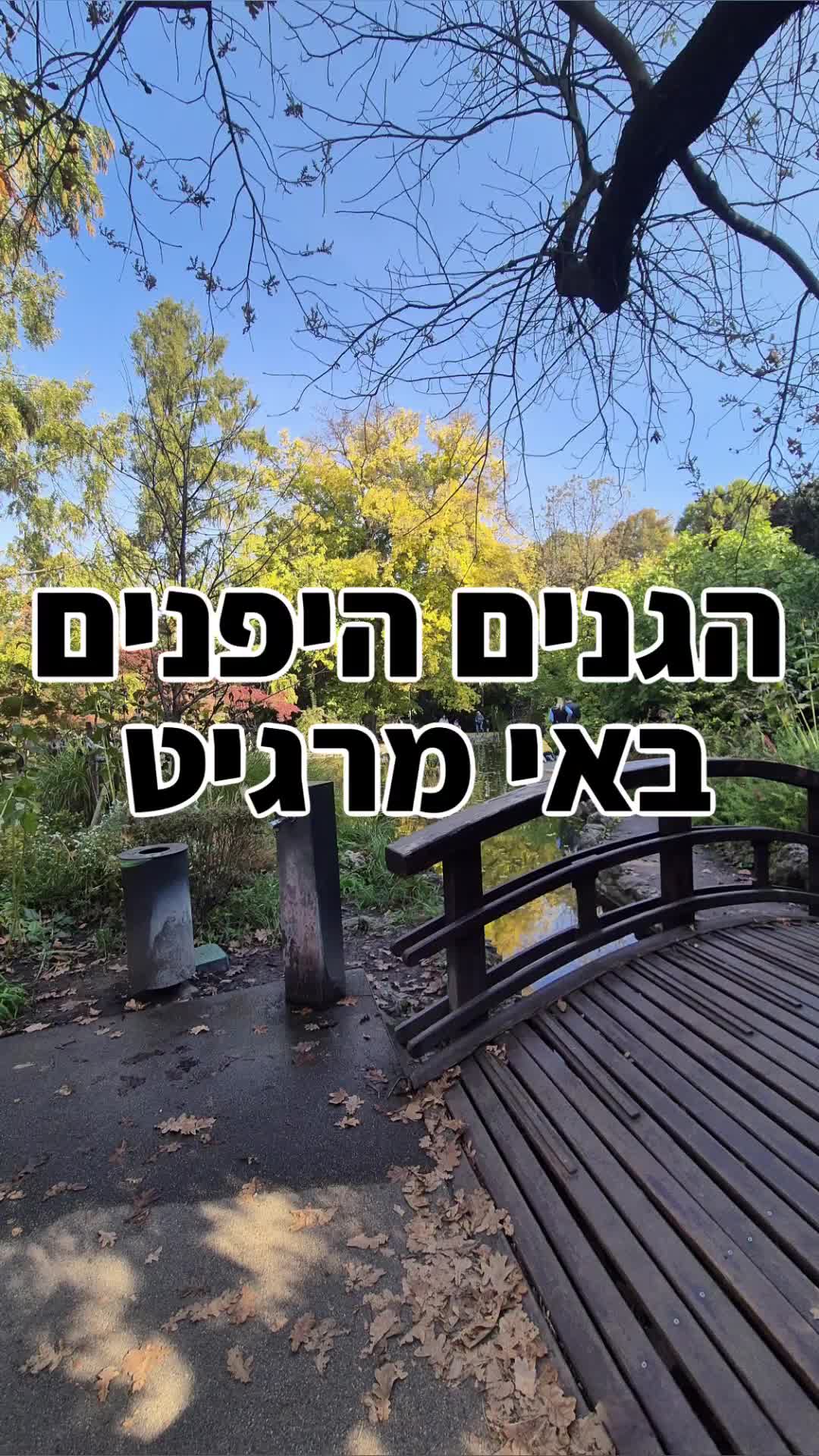 האי מרגיט