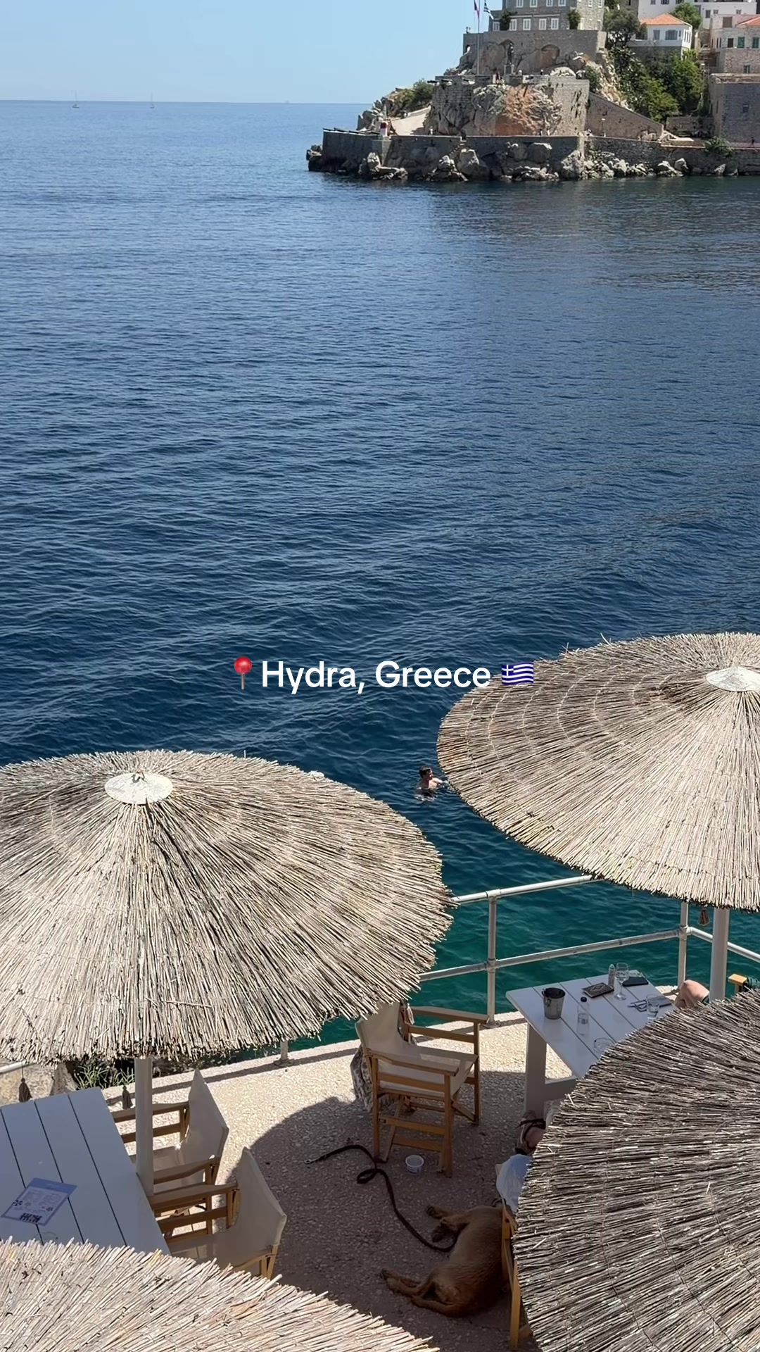 Hydra