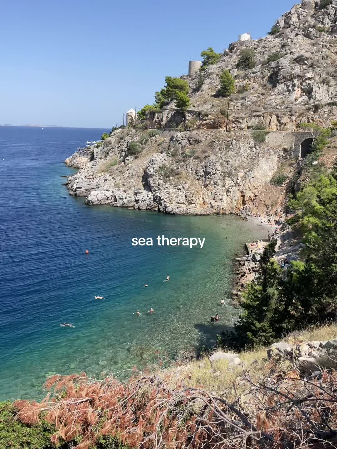 Hydra