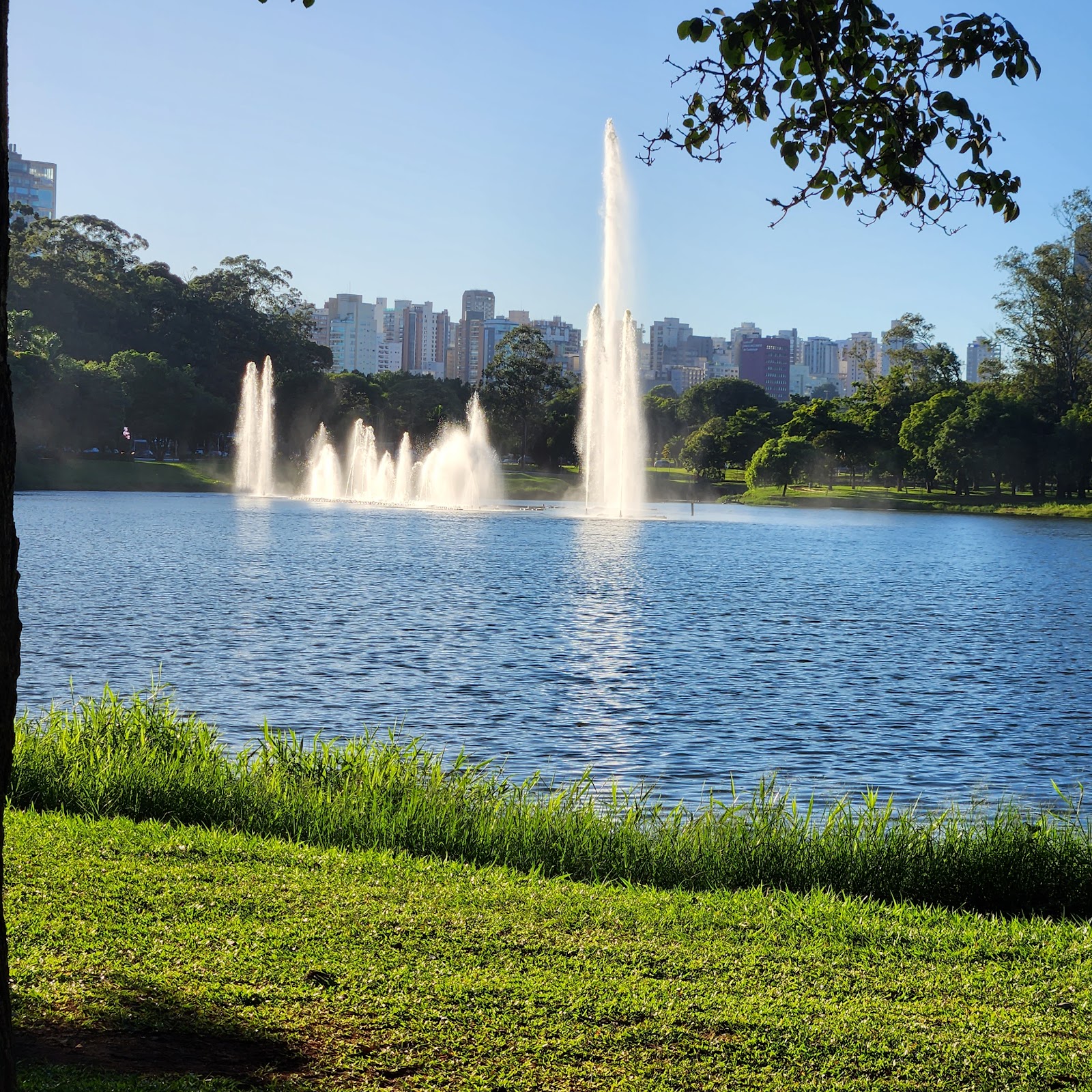 Parque Ibirapuera, סאו פאולו