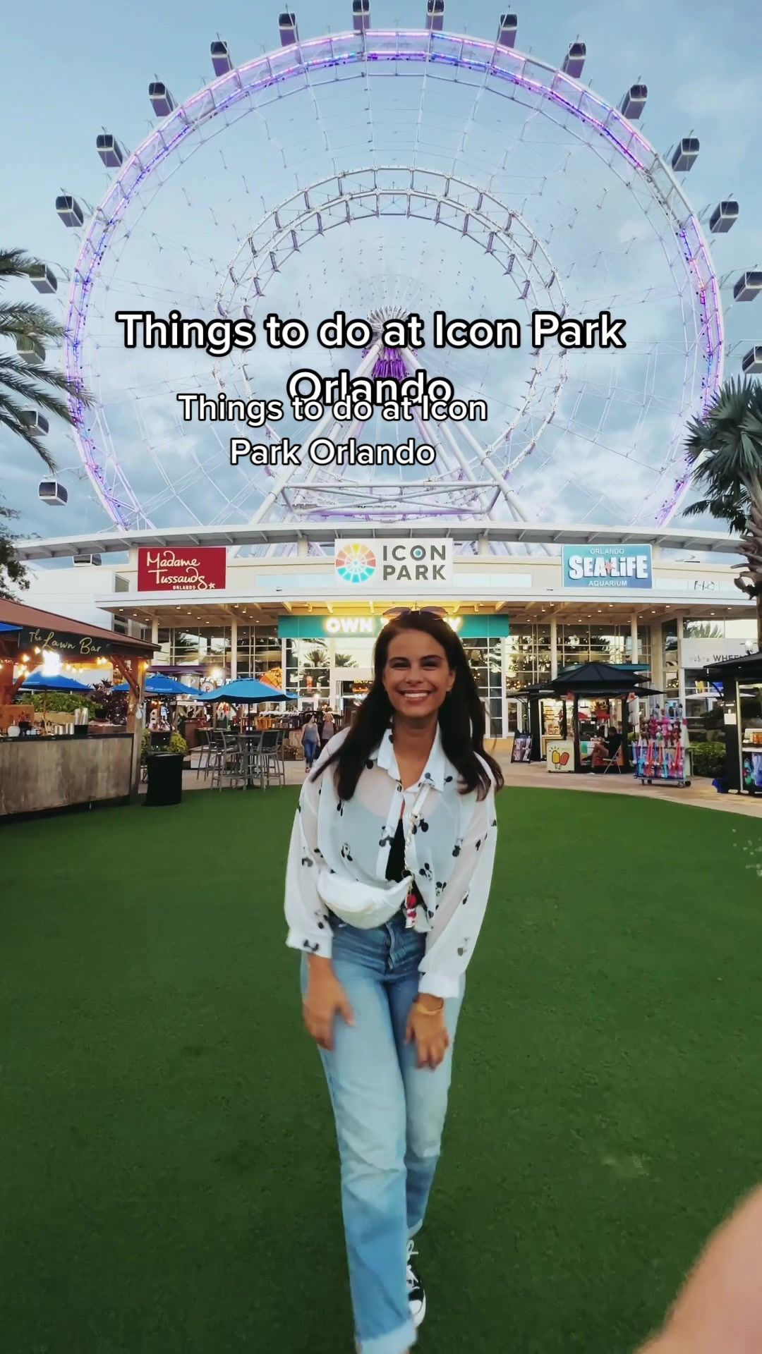 ICON Park