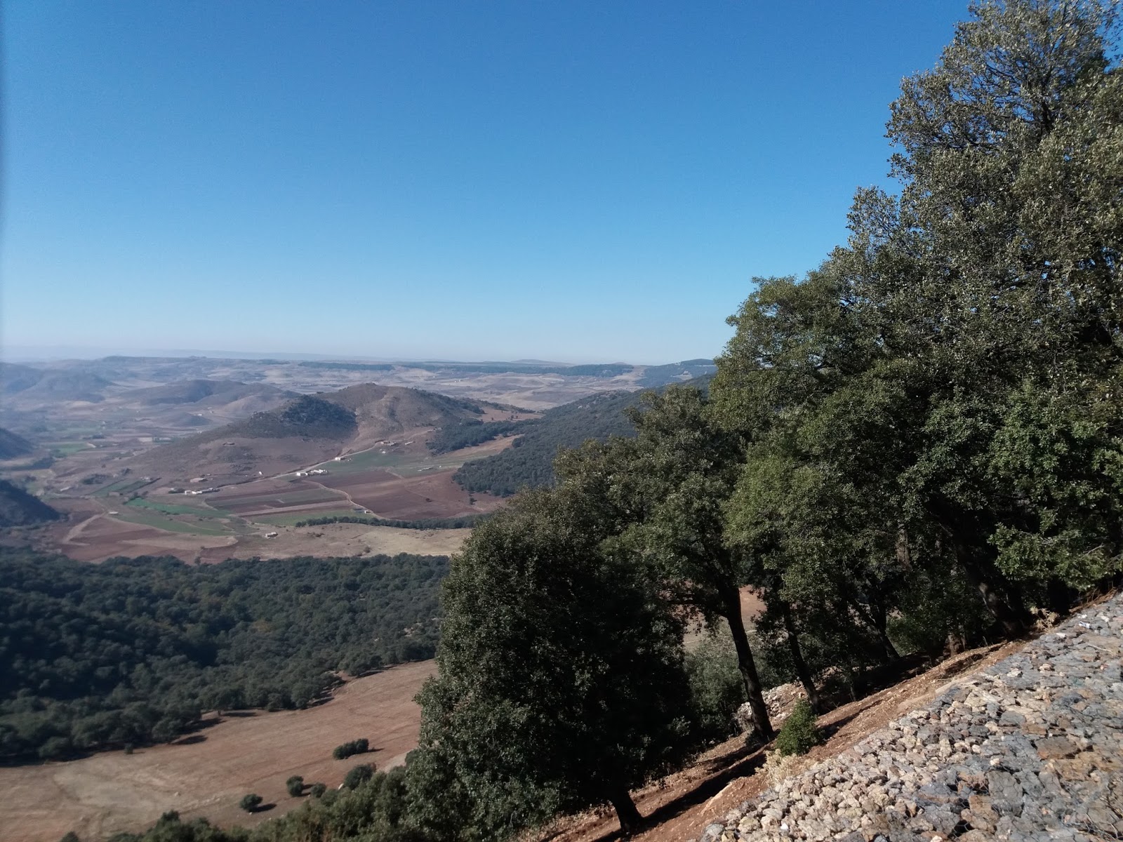 Ifrane National Park