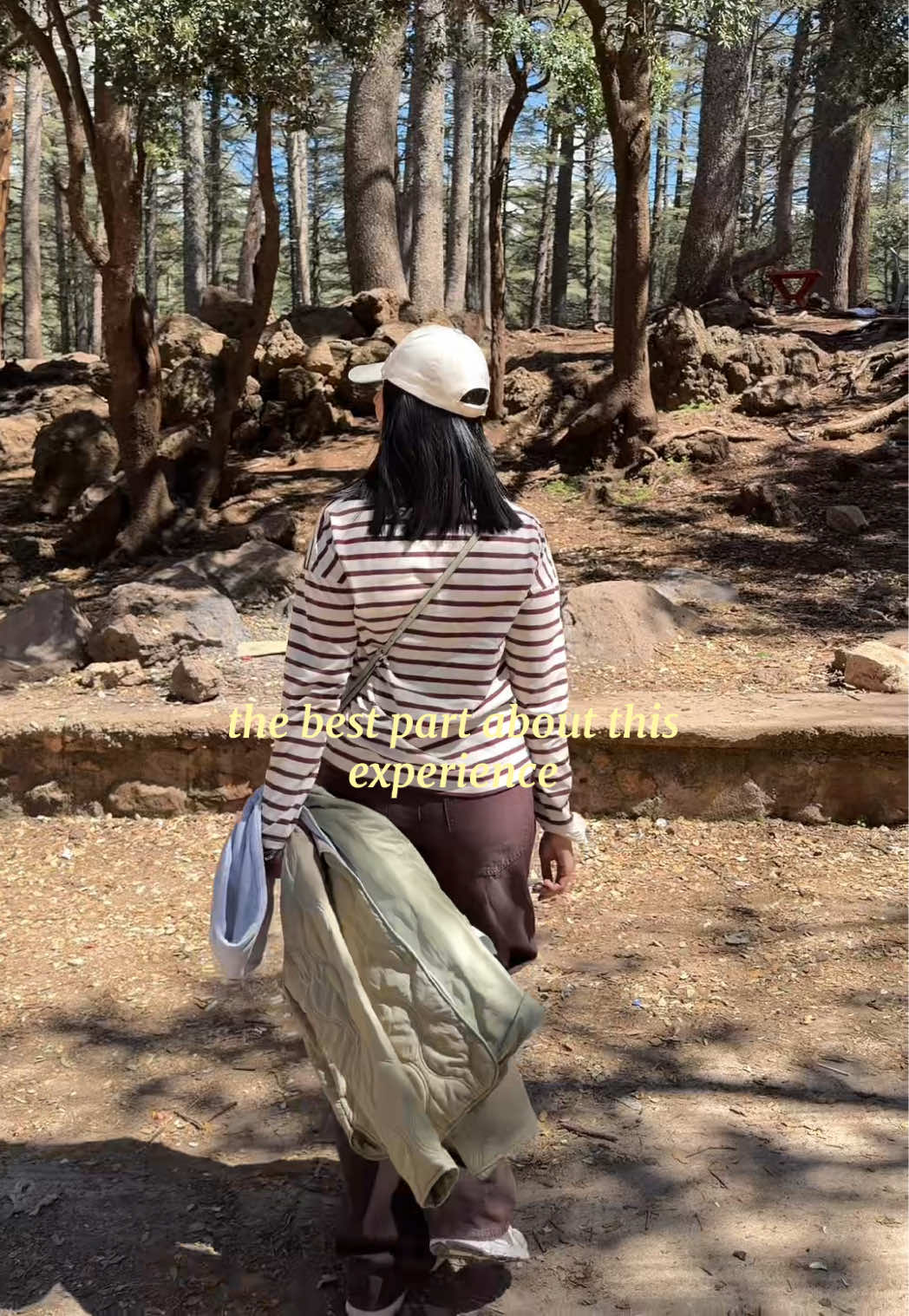 Ifrane National Park