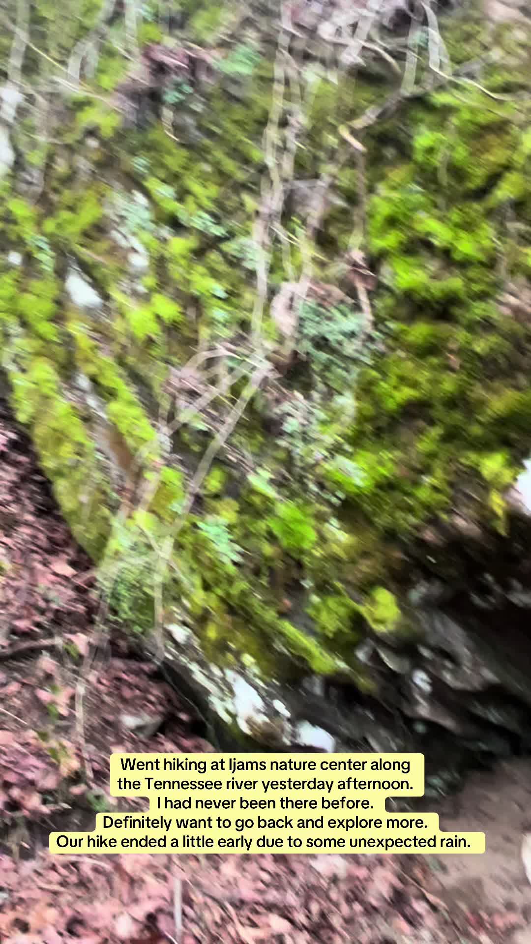 Ijams Nature Center, Knoxville