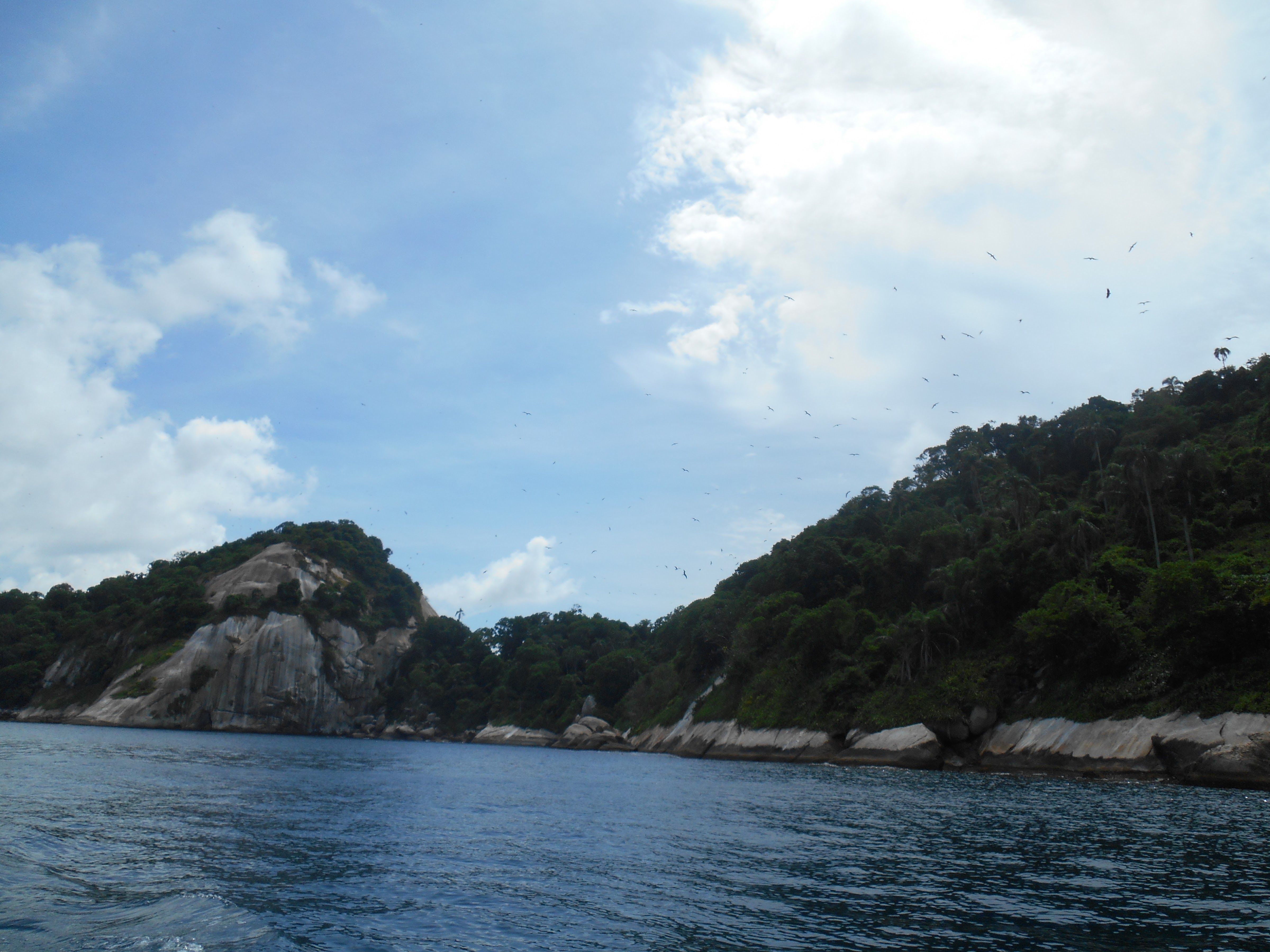 Ilha de Jorge Grego