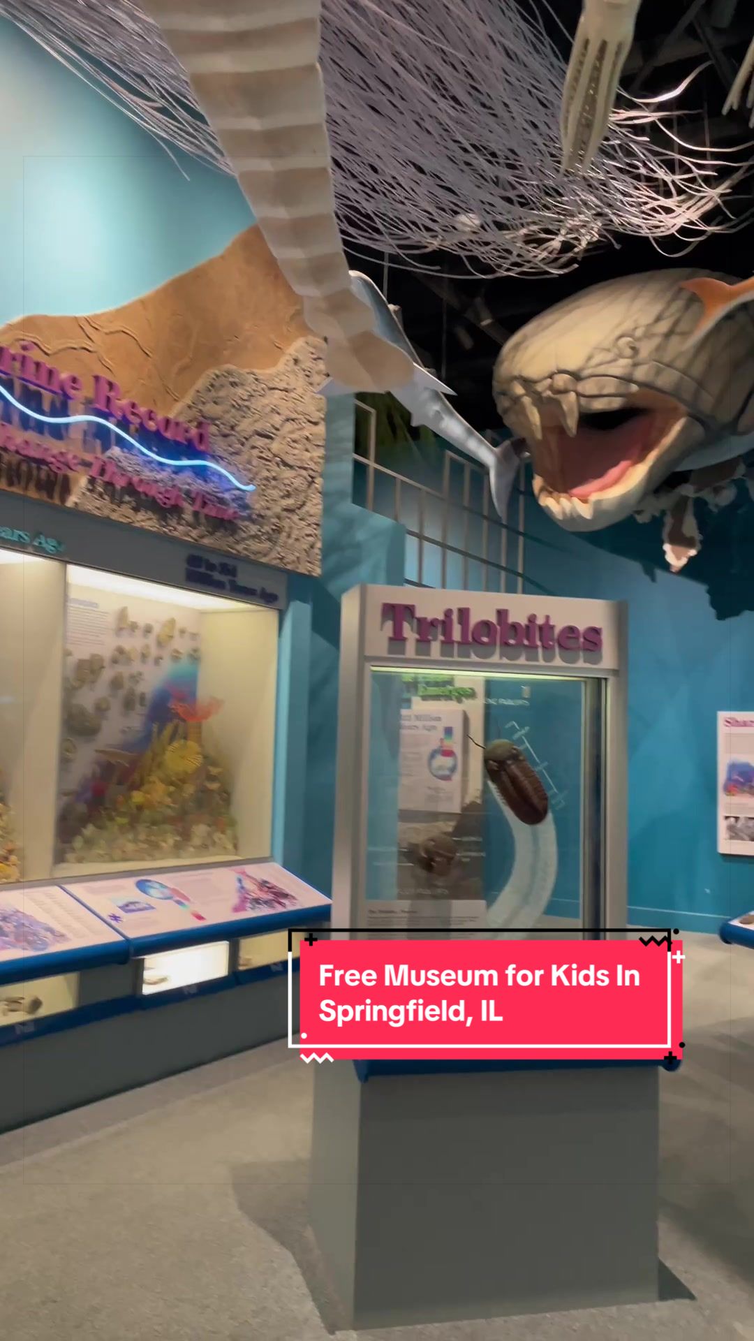 Illinois State Museum