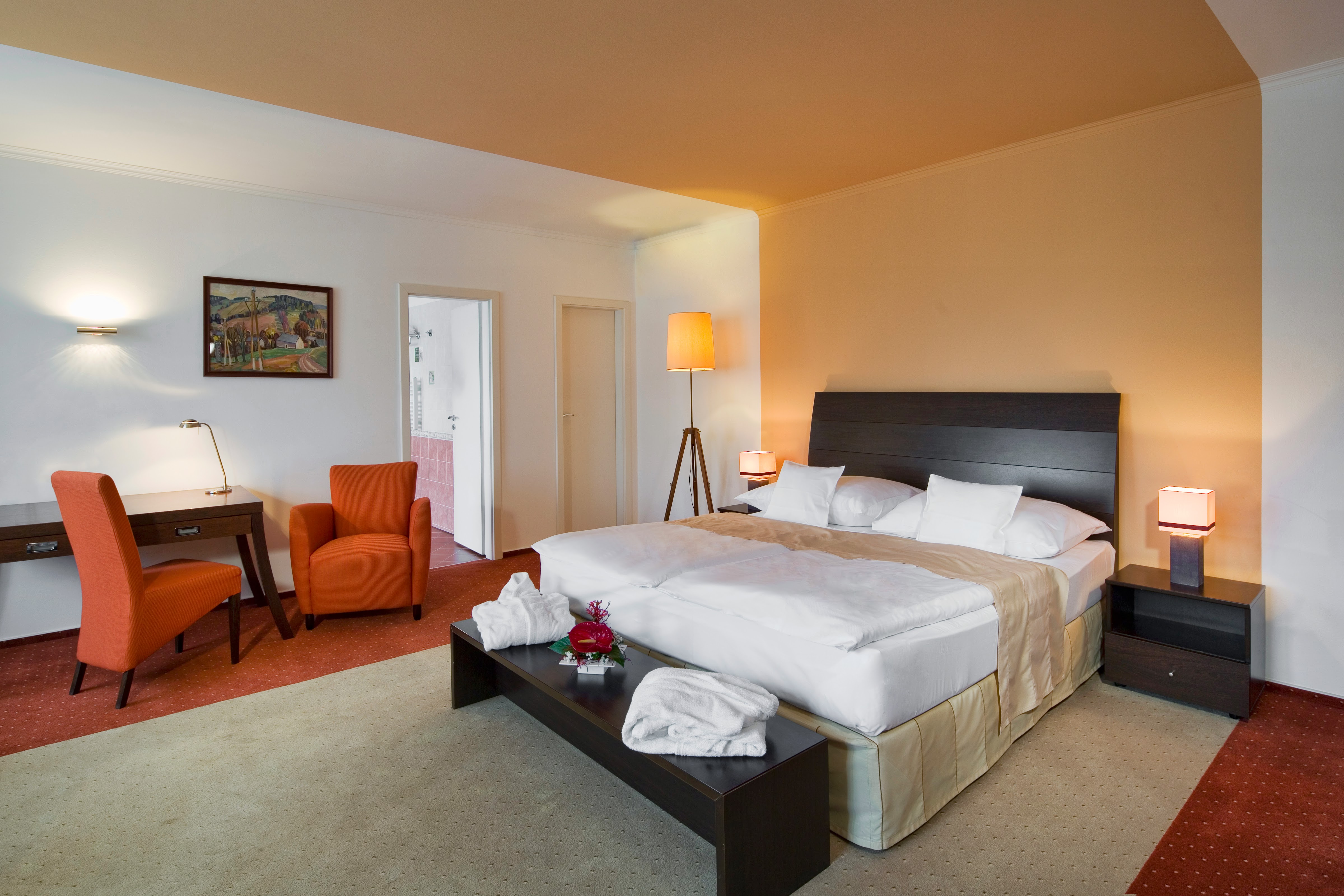 תמונה עבור Imperial Hotel Ostrava