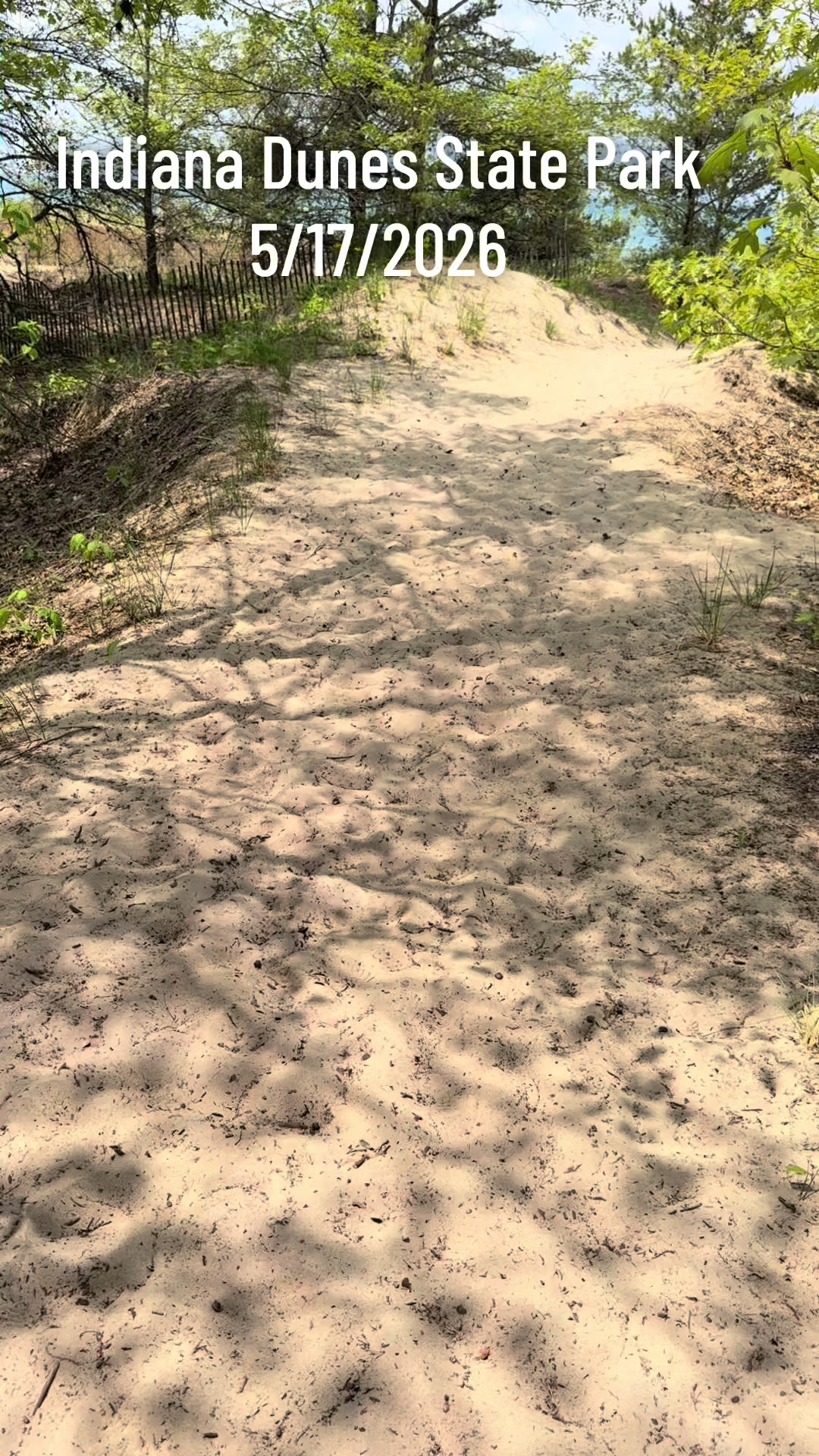 Indiana Dunes National Park, IN