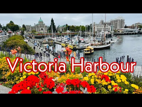 Inner Harbour