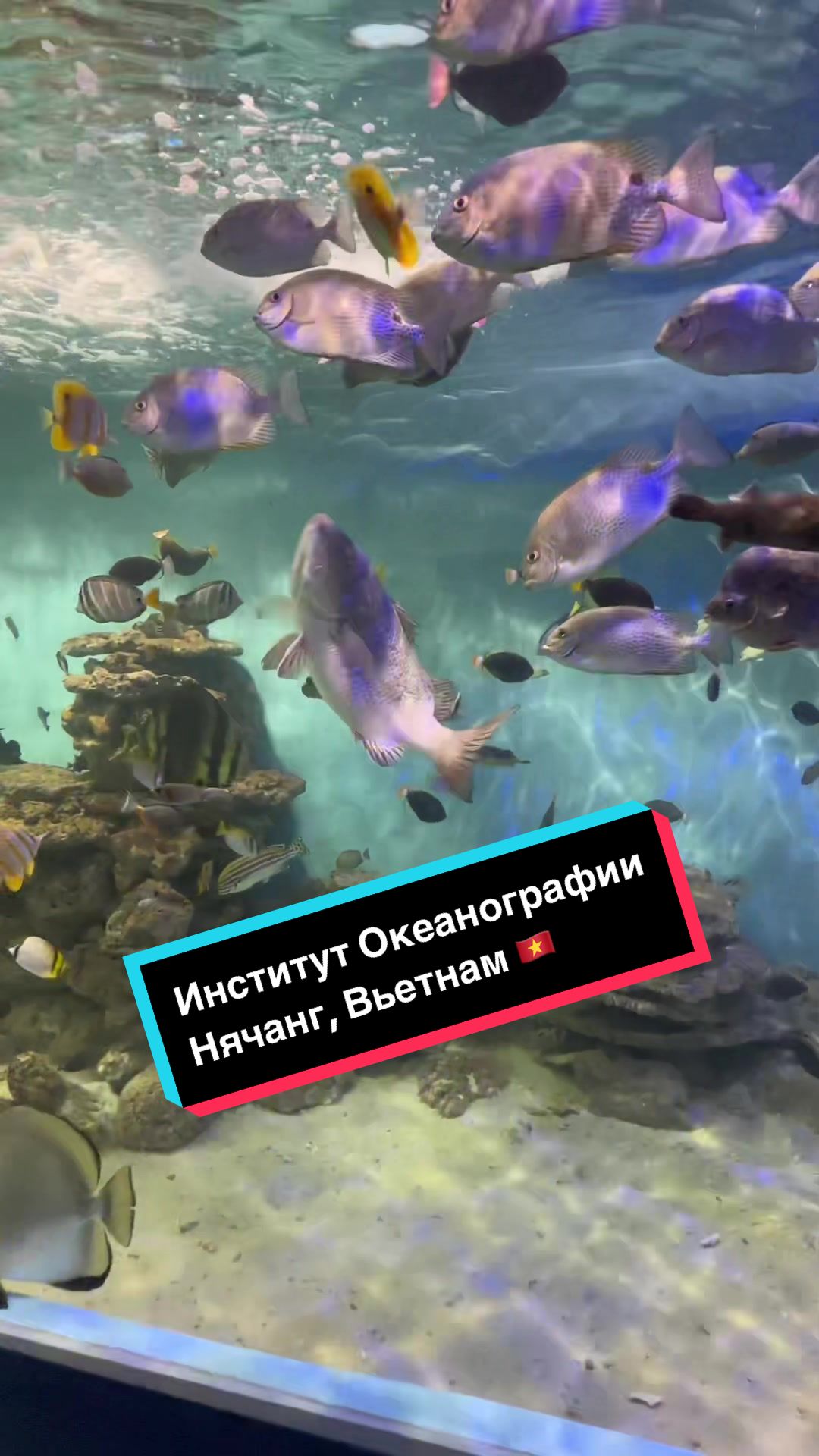 Институт океанографии