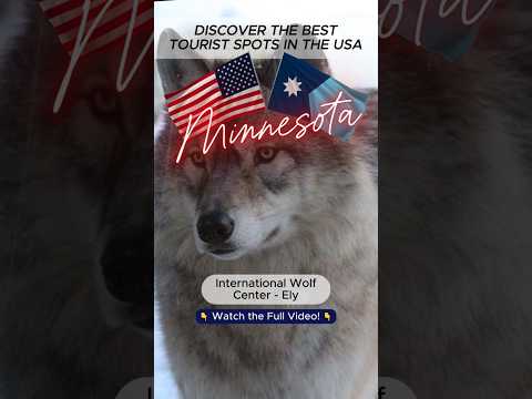 International Wolf Center
