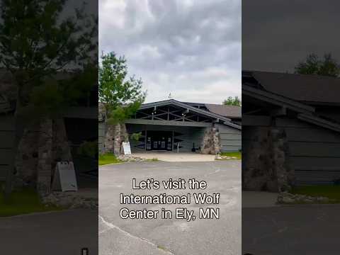 International Wolf Center