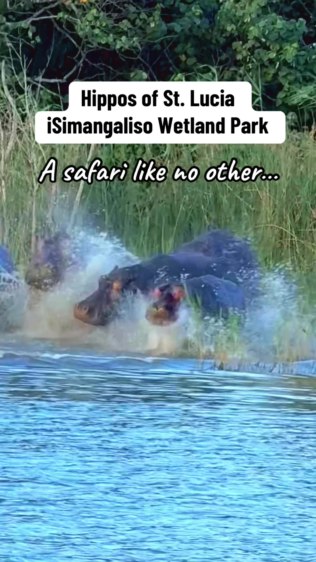 iSimangaliso Wetland Park