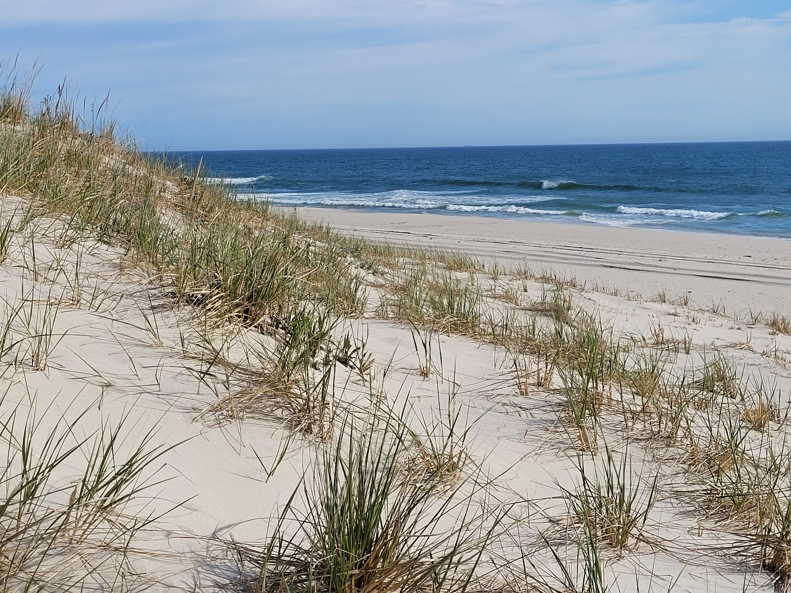 Island Beach State Park