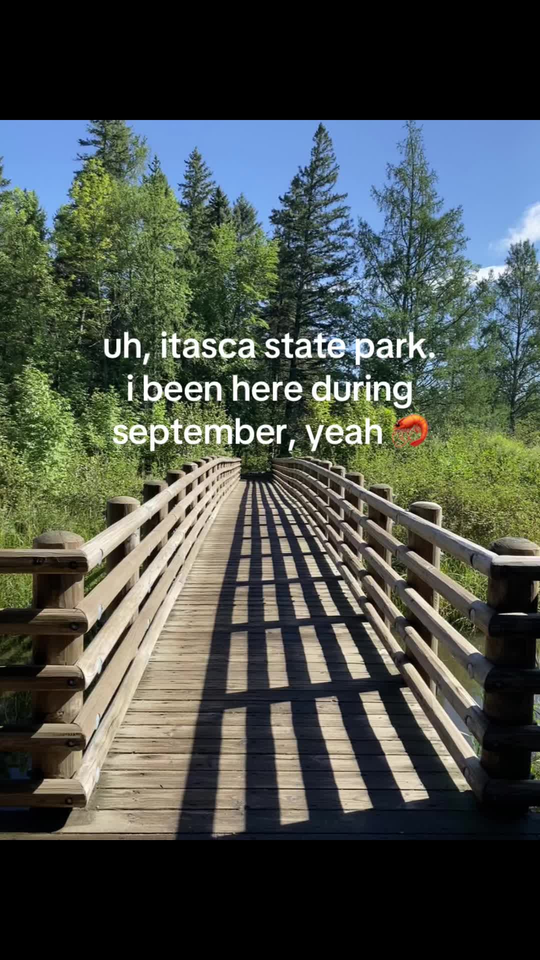 Itasca State Park, MN