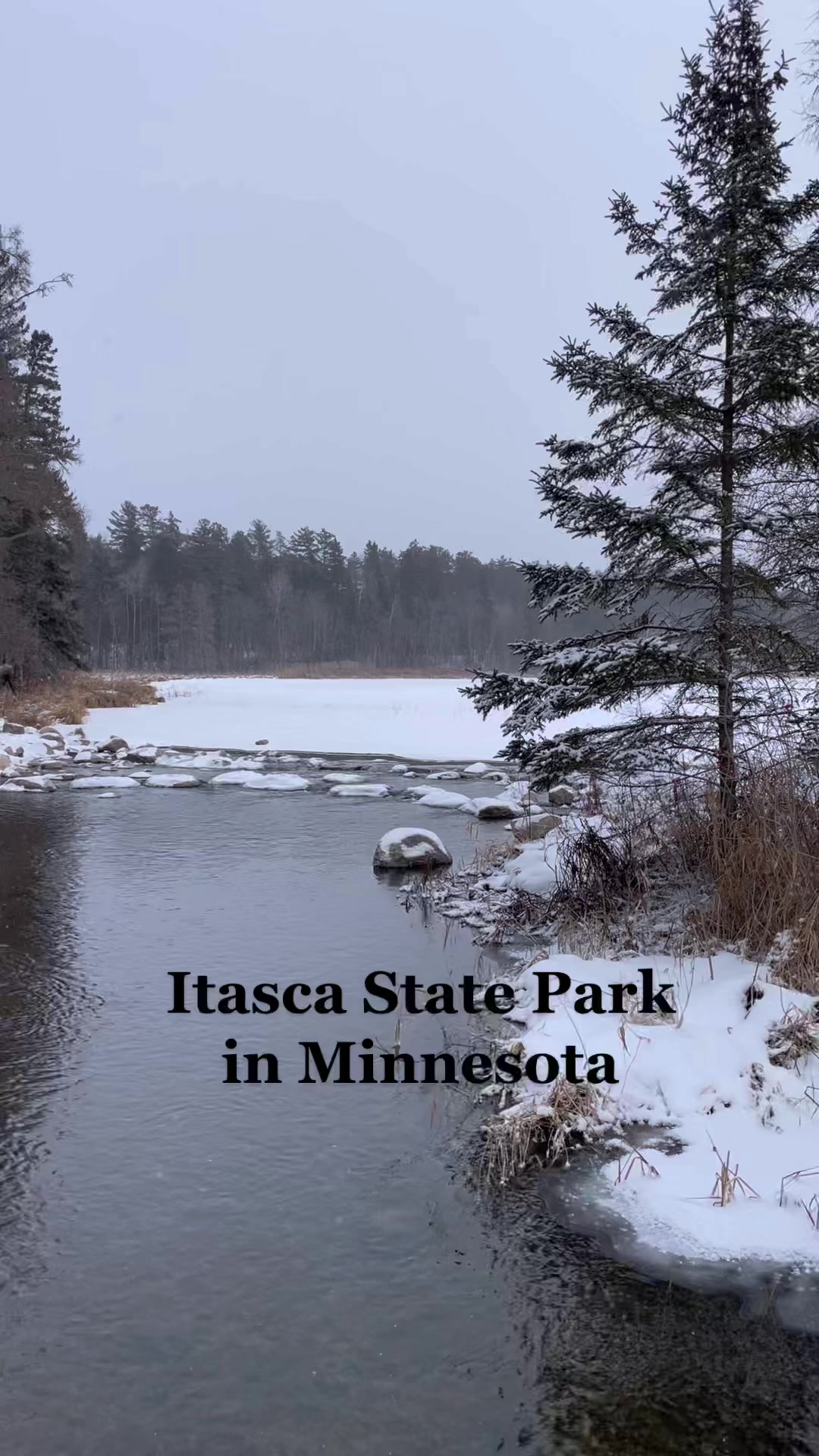 Itasca State Park, MN