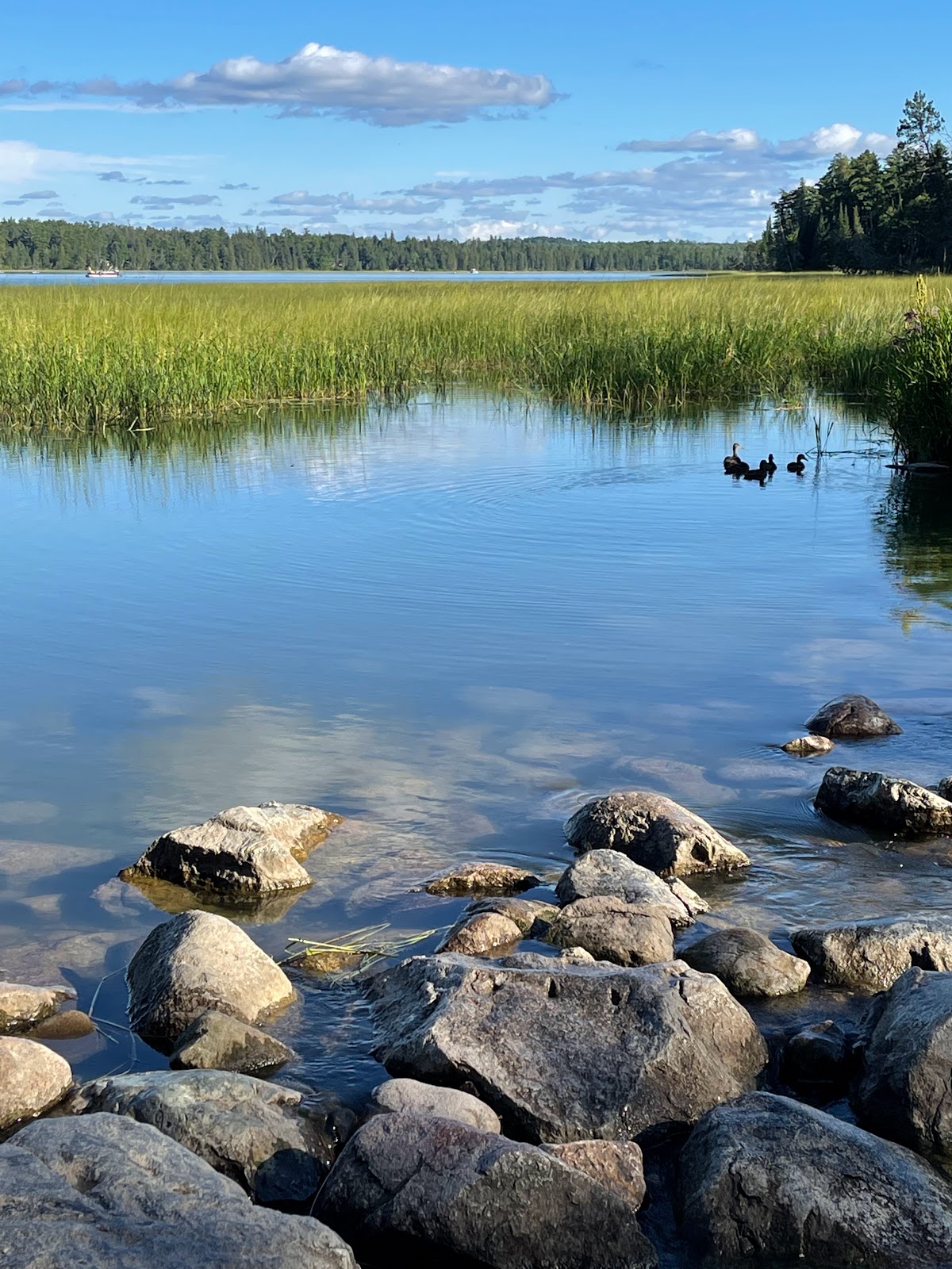 Itasca State Park