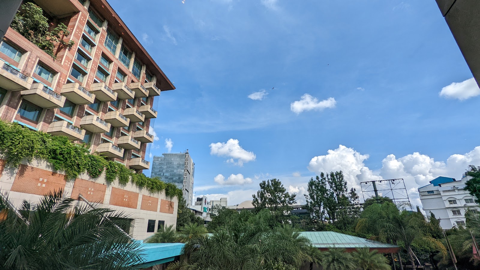 תמונה עבור ITC Gardenia