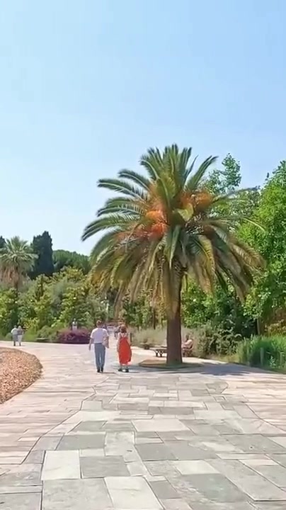 Jardin Albert 1er