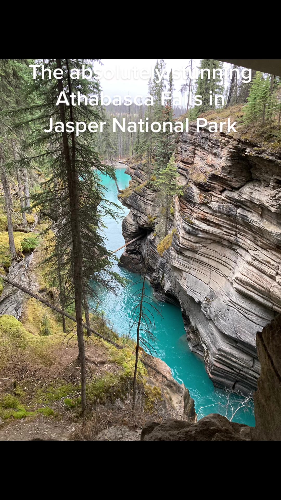 Jasper National Park