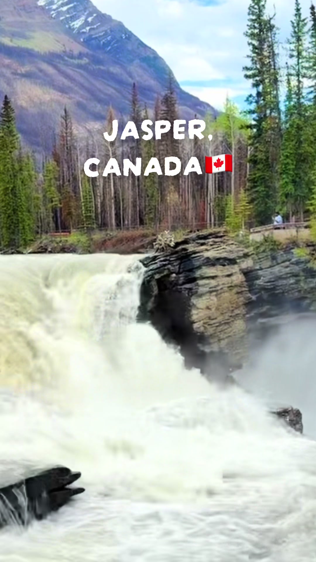 Jasper