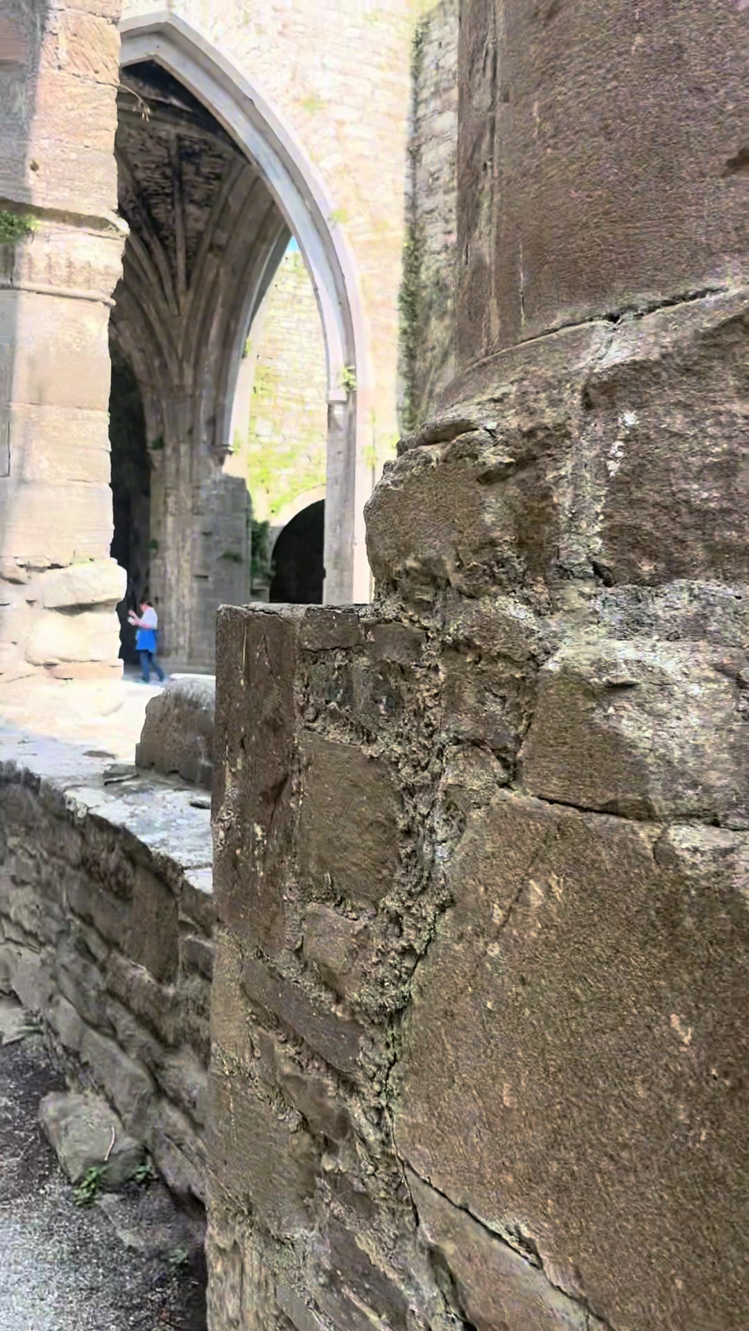 Jerpoint Park (близ Килкенни, исторические руины Jerpoint Abbey)