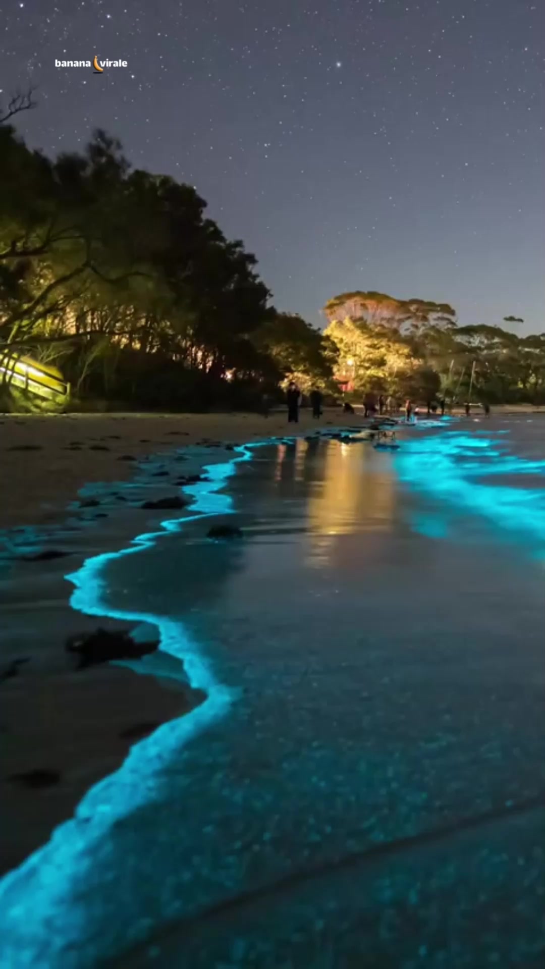 Jervis Bay