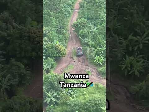 Jiwe Kuu (Mwanza rock outcrop viewpoint)