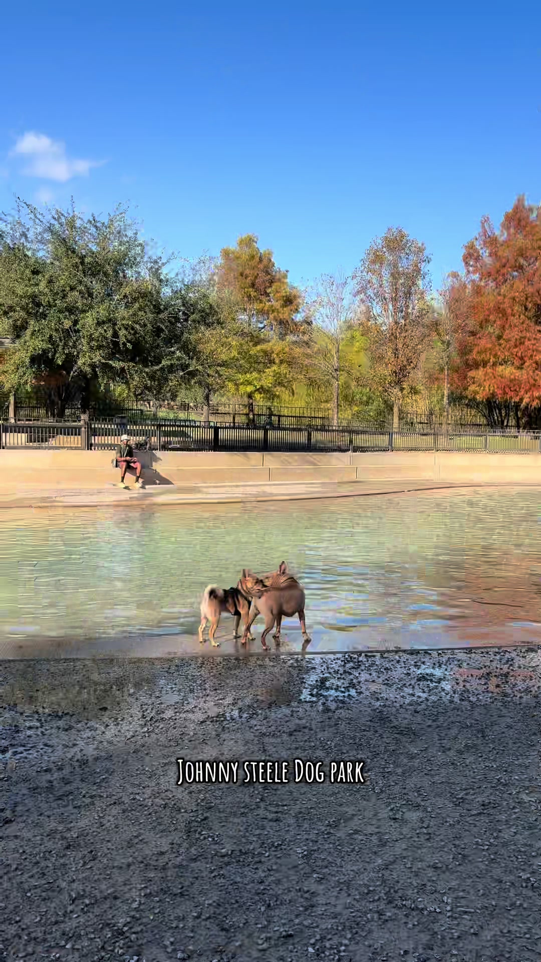Johnny Dog Park
