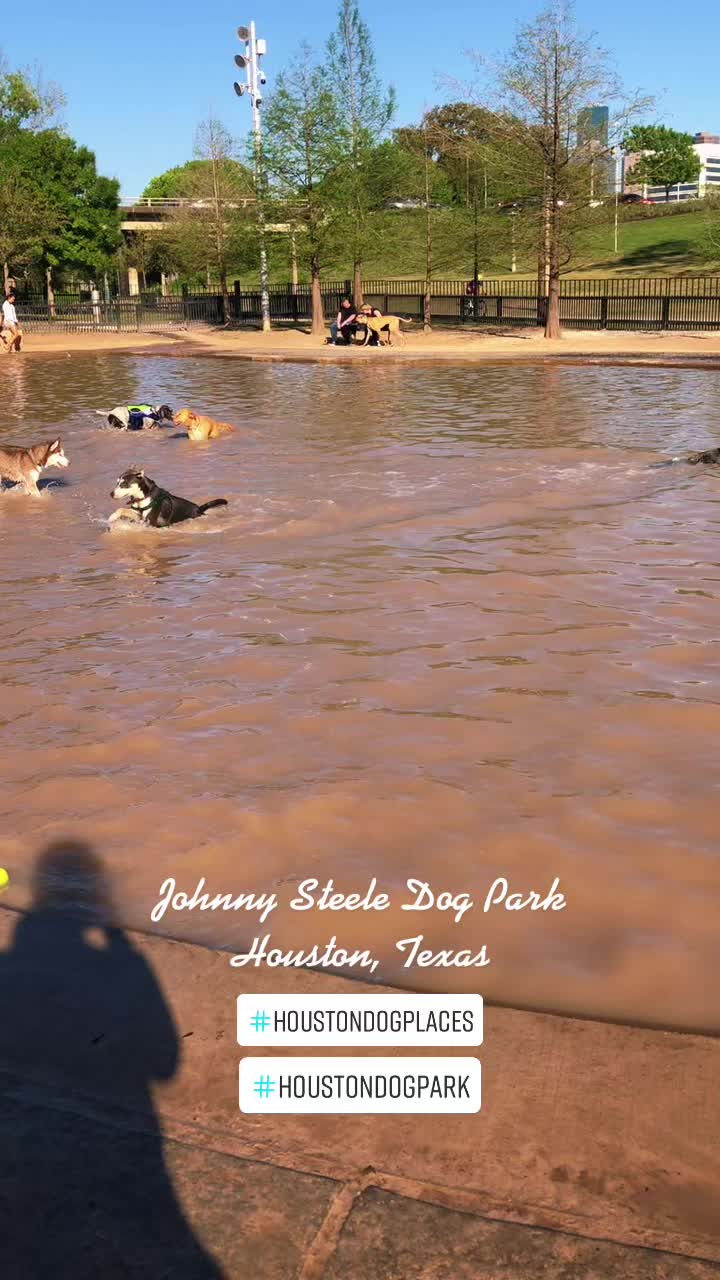 Johnny Dog Park