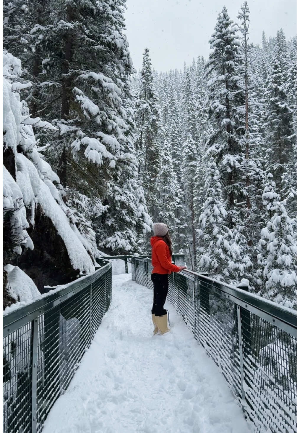 Johnston Canyon