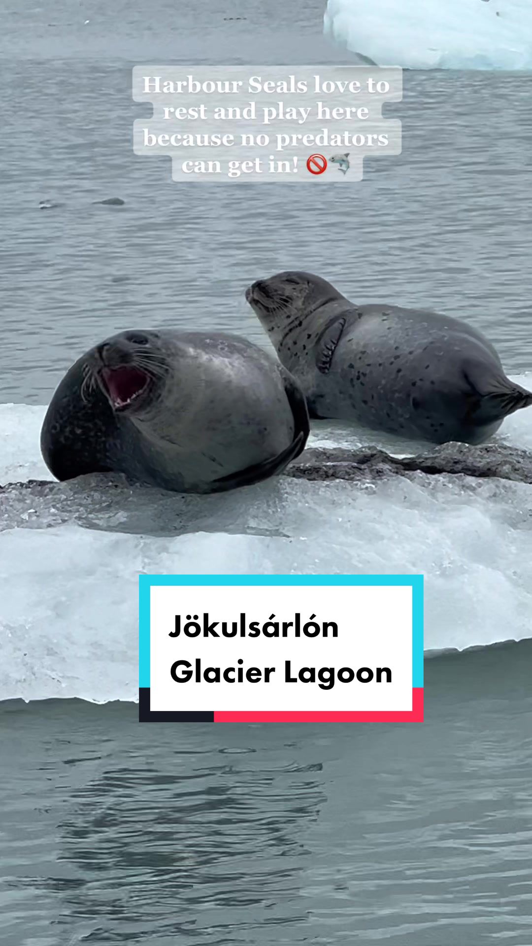 Jökulsárlón Glacier Lagoon