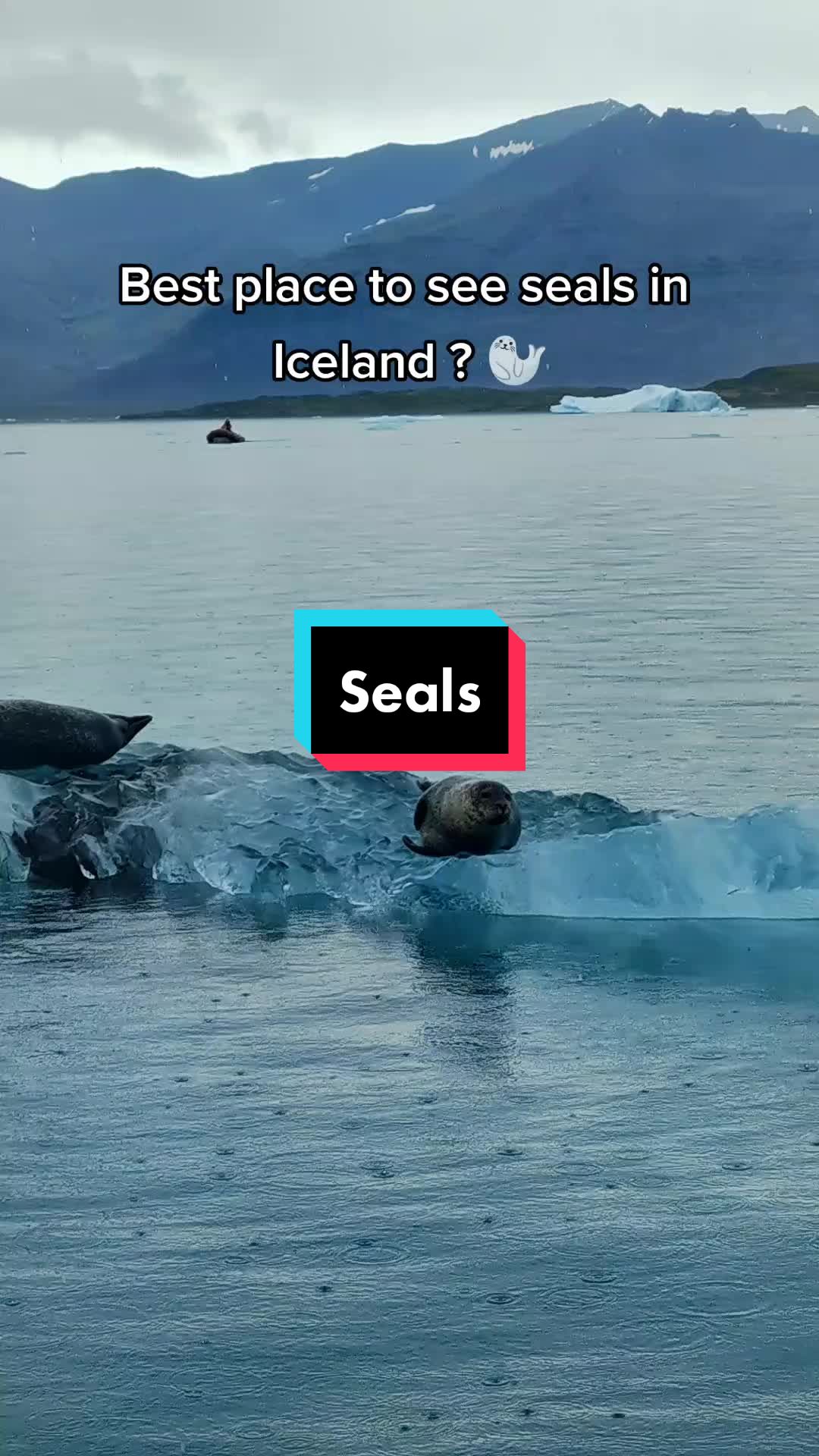 Jökulsárlón Glacier Lagoon