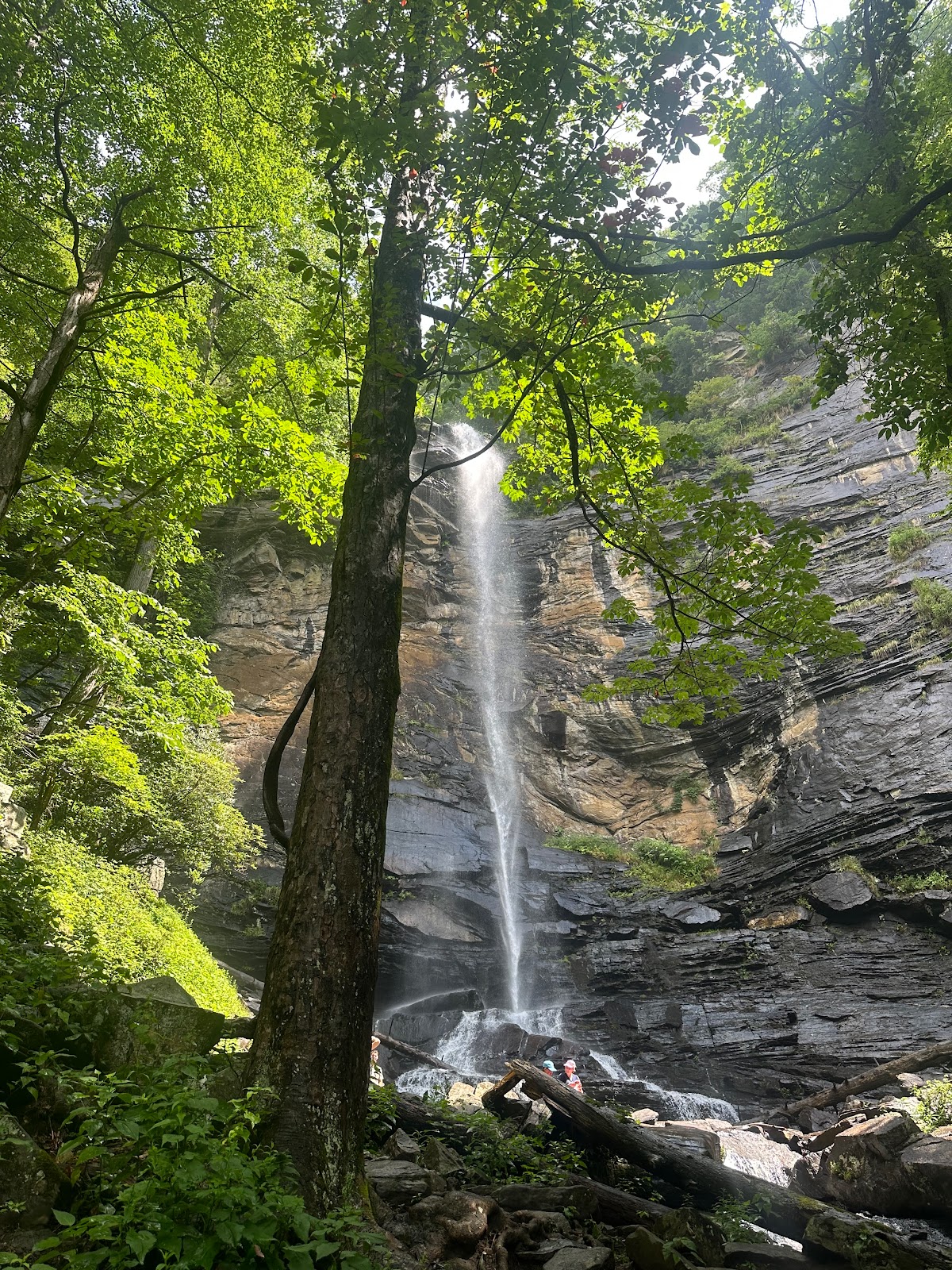 Jones Gap State Park