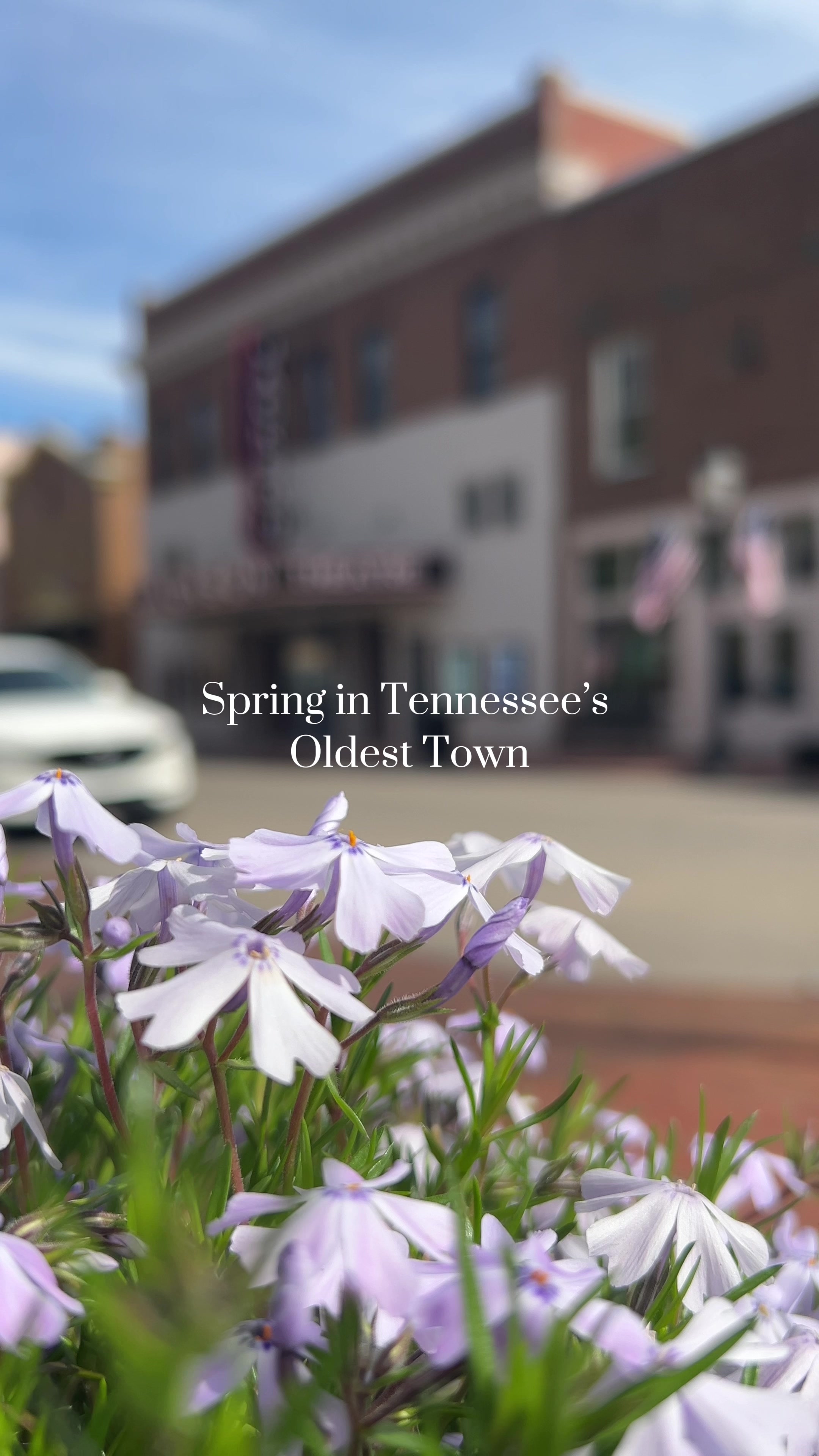 Jonesborough