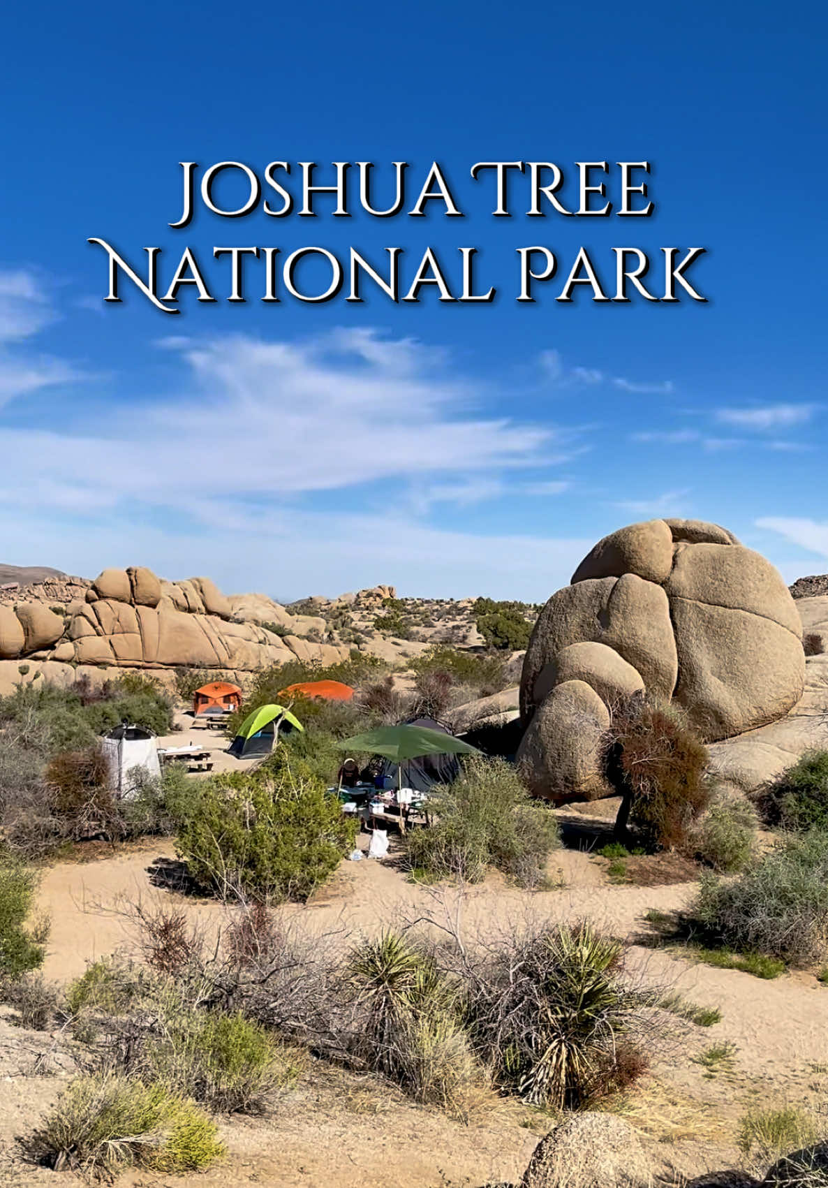 Joshua Tree National Park, CA