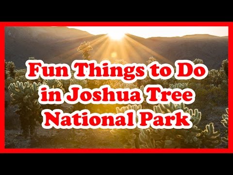 Joshua Tree National Park, California