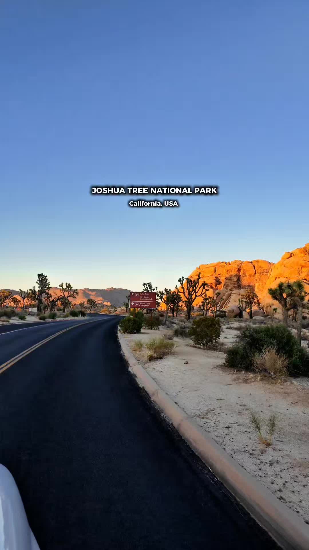 Joshua Tree National Park, California