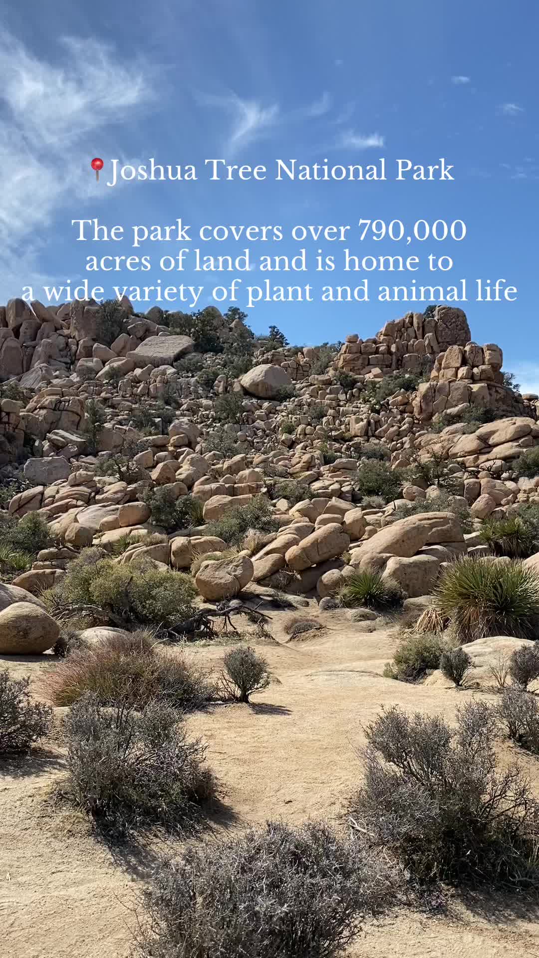 Joshua Tree National Park