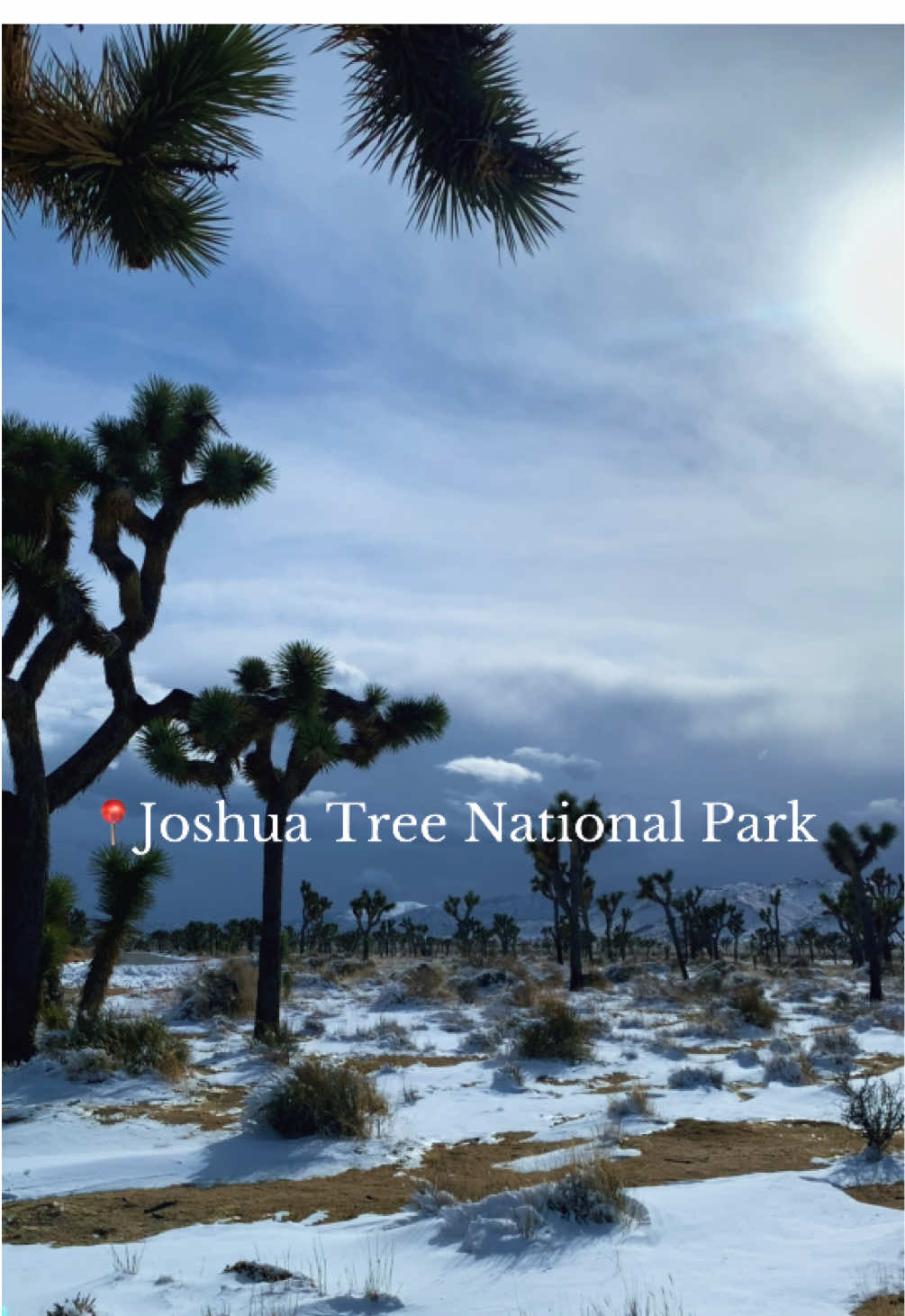 Joshua Tree National Park