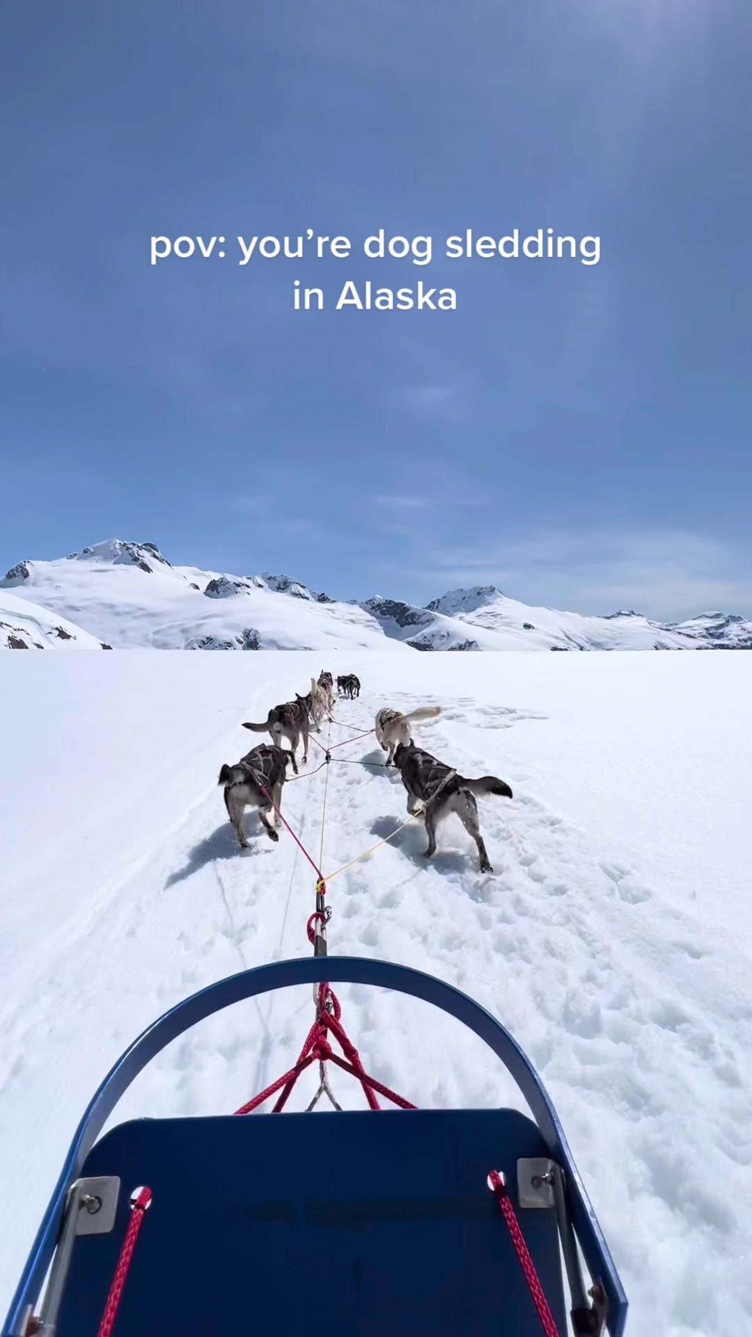 Juneau Dog Park