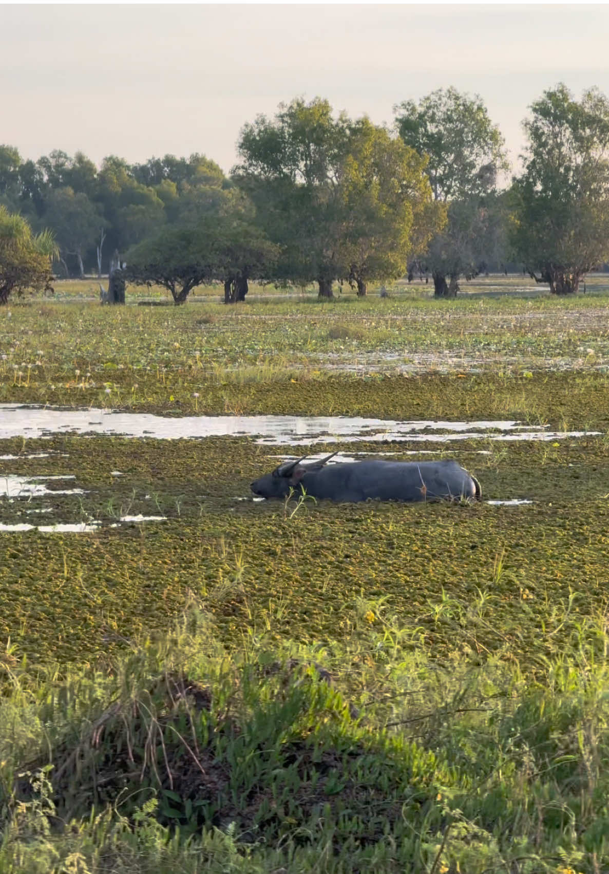 Kakadu National Park