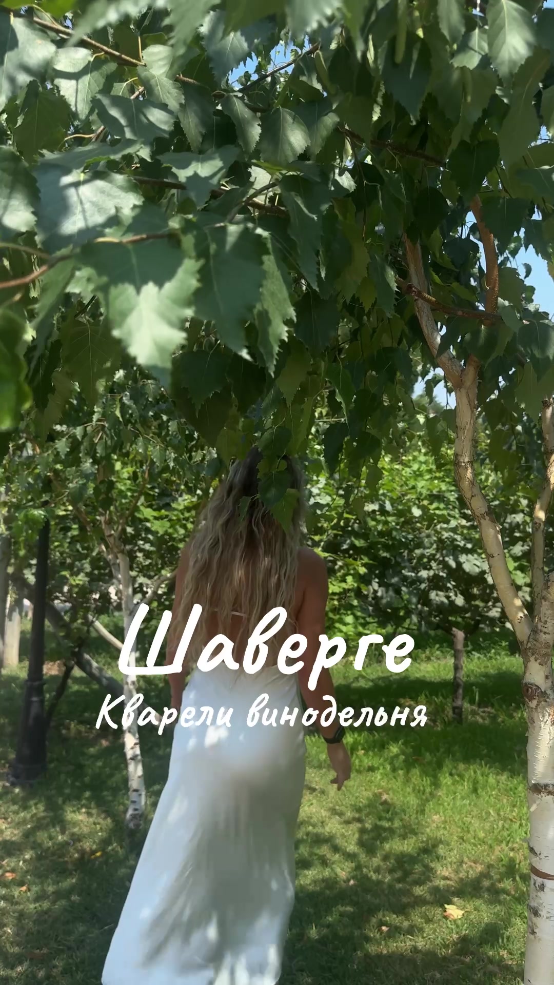 Кахети (винодельни)